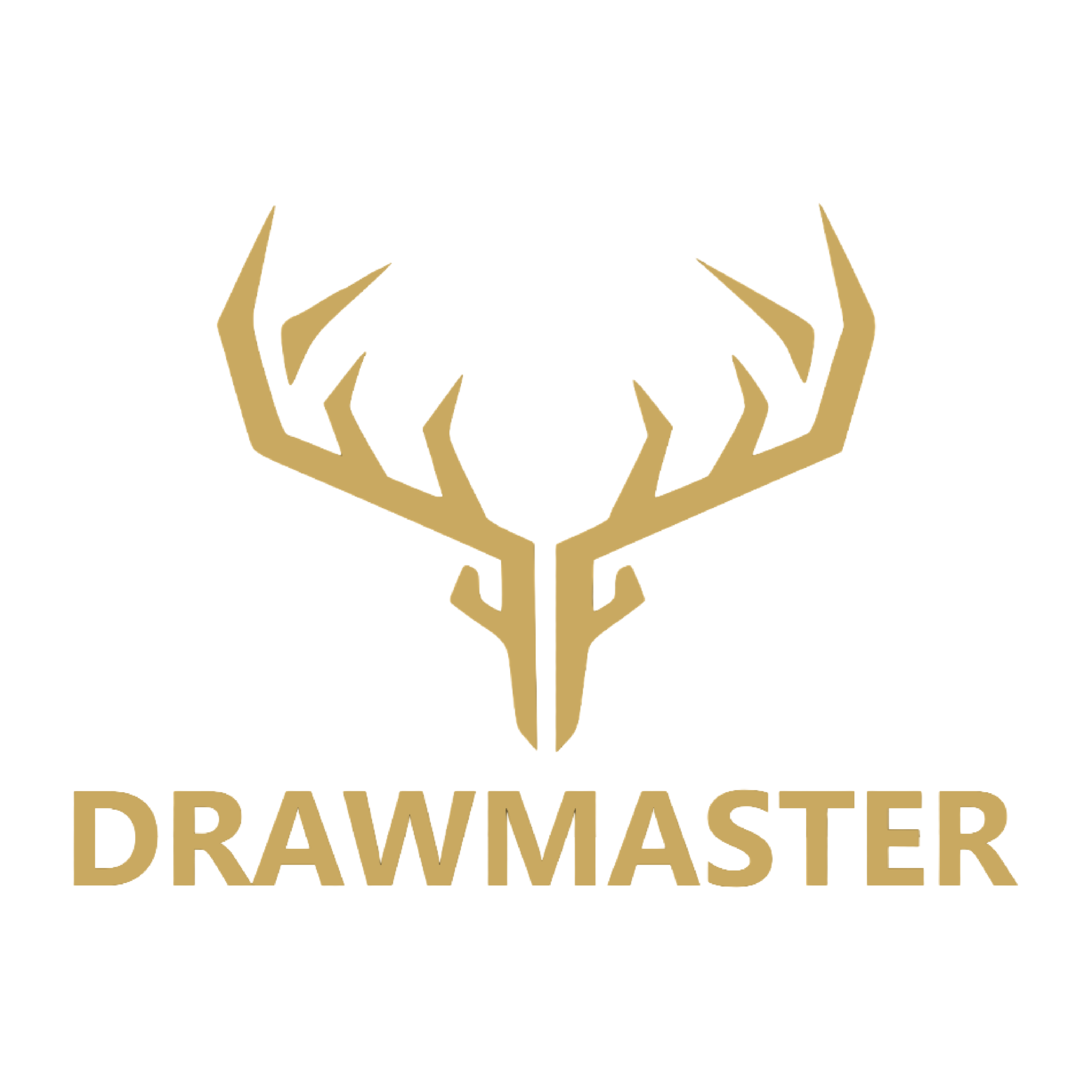 DrawMaster